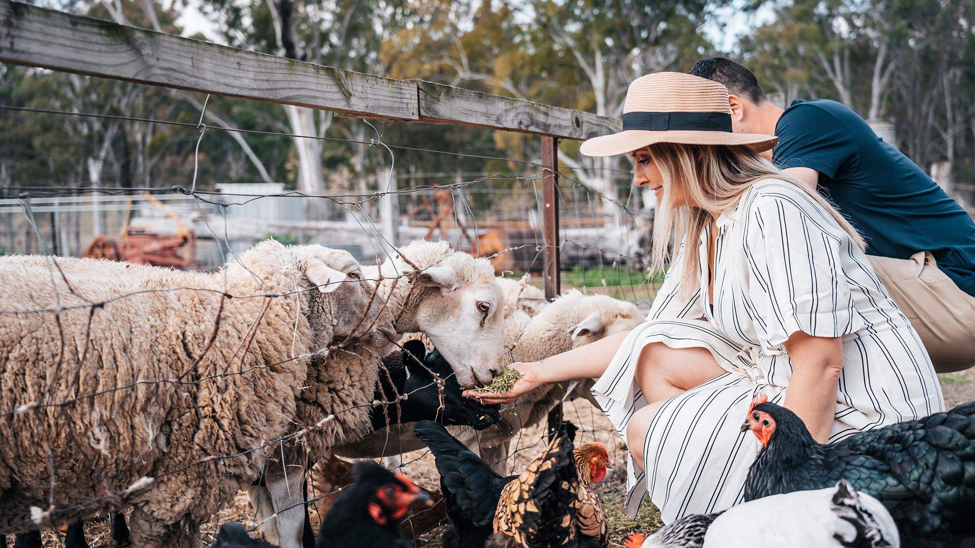 Scenic Rim Eat Local Week Has Unveiled Its Food, Booze, Alpaca and Carrot Ice Cream-Filled 2022 Program