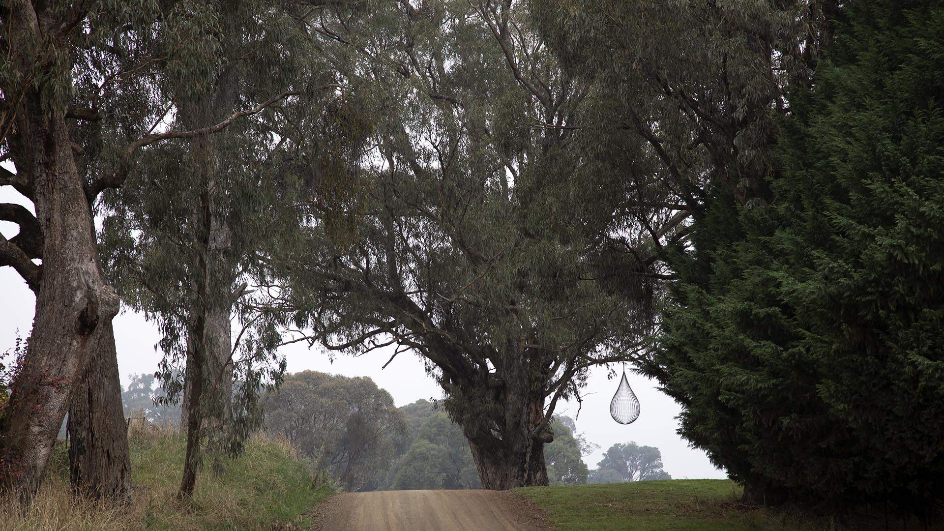 Regional New South Wales Just Scored a Permanent (and Super-Scenic) New Outdoor Sculpture Trail