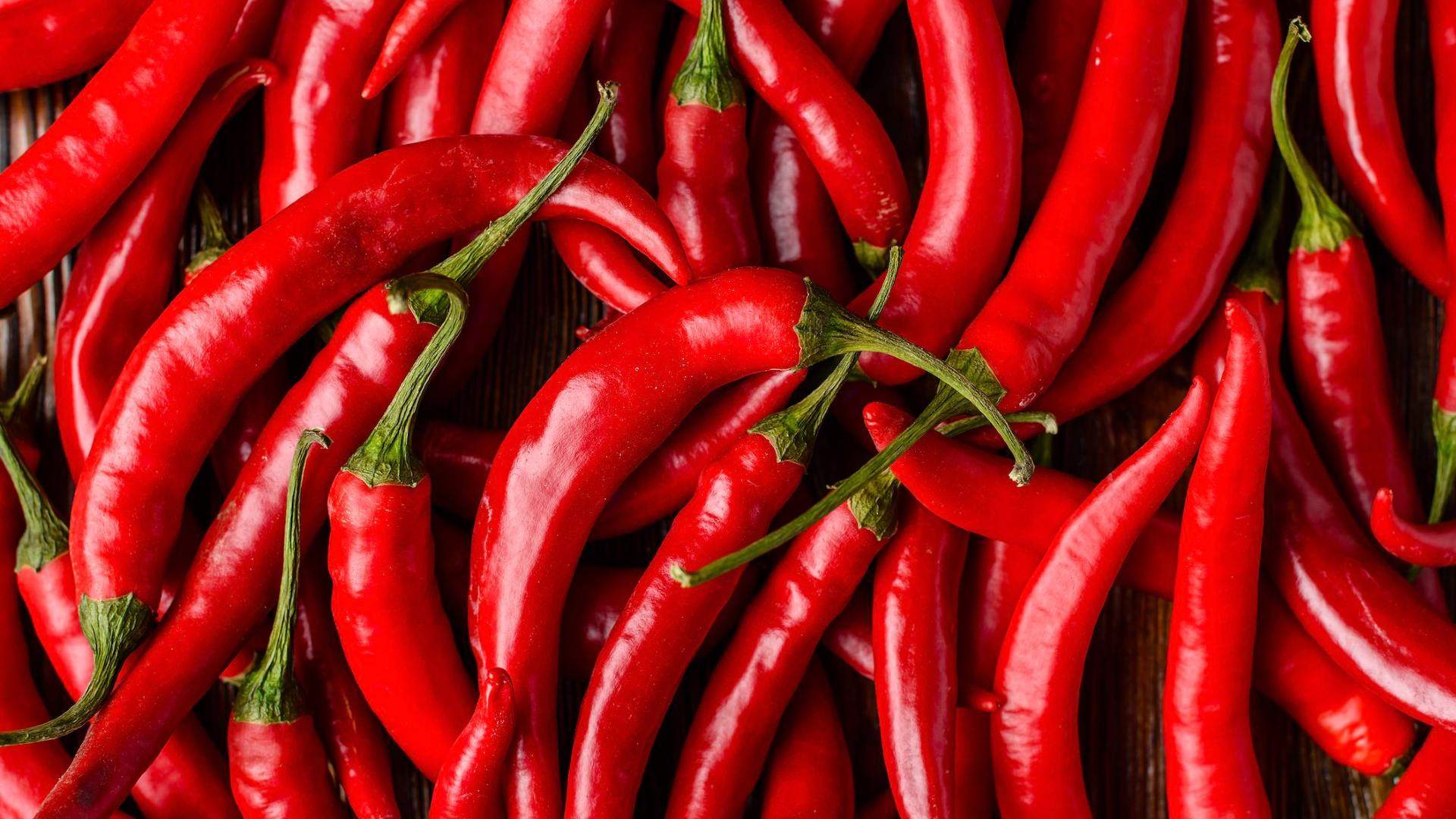 Hot Sauce and Chilli Festival 2022