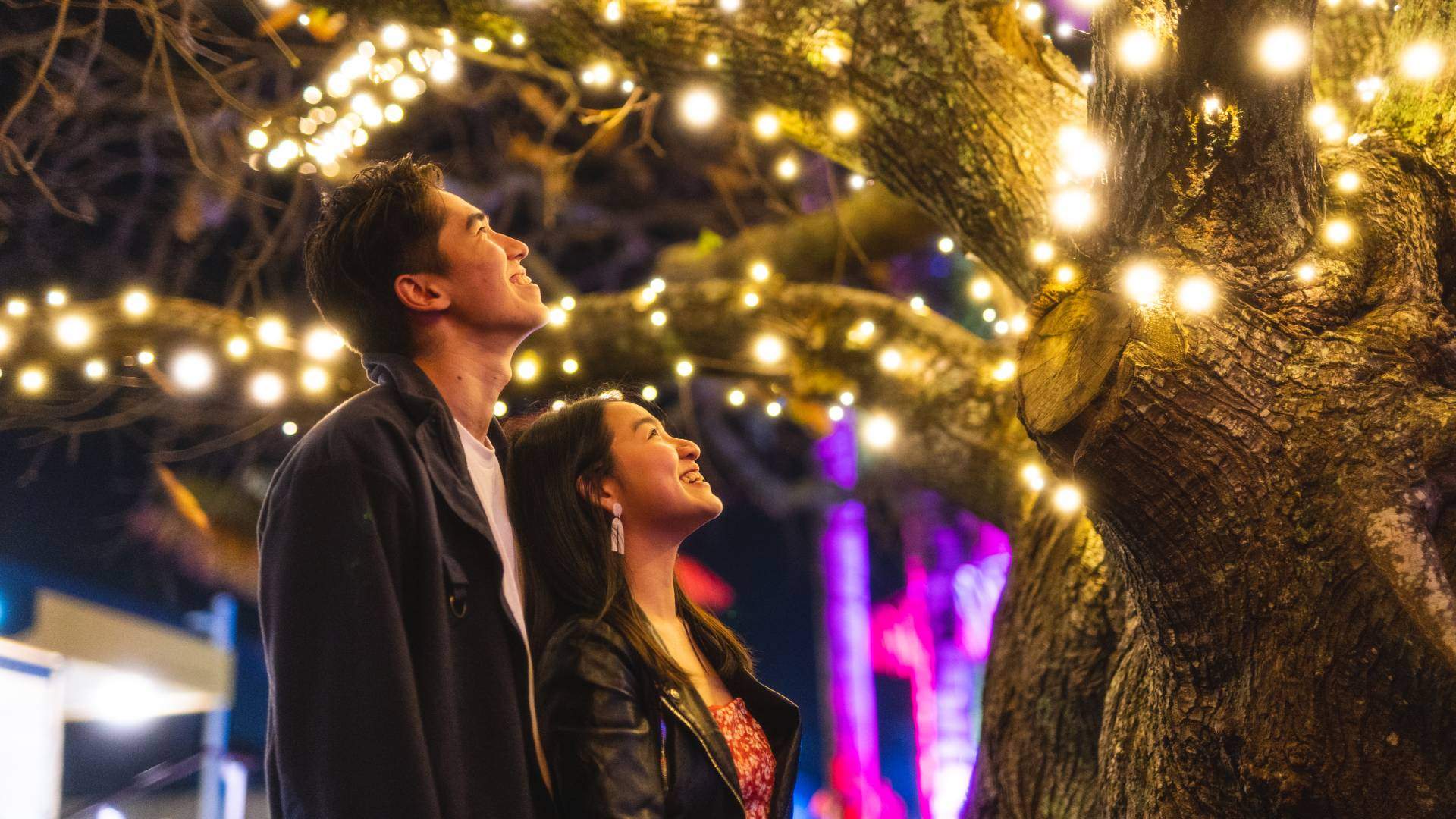 Five Romantic Auckland Date Ideas From Budget to Blowout
