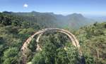 New South Wales' Gondwana Rainforests Are Set to Score a New 46-Kilometre Multi-Day Walking Track
