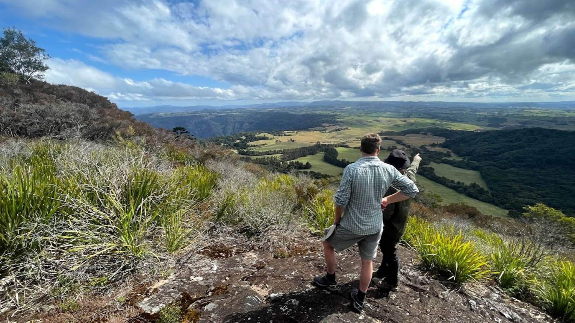 New South Wales' Gondwana Rainforests Are Set to Score a New 46-Kilometre Multi-Day Walking Track