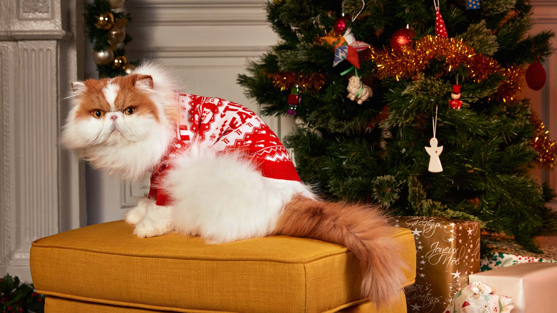 Ugly Christmas Sweaters for sale in Sydney, Australia