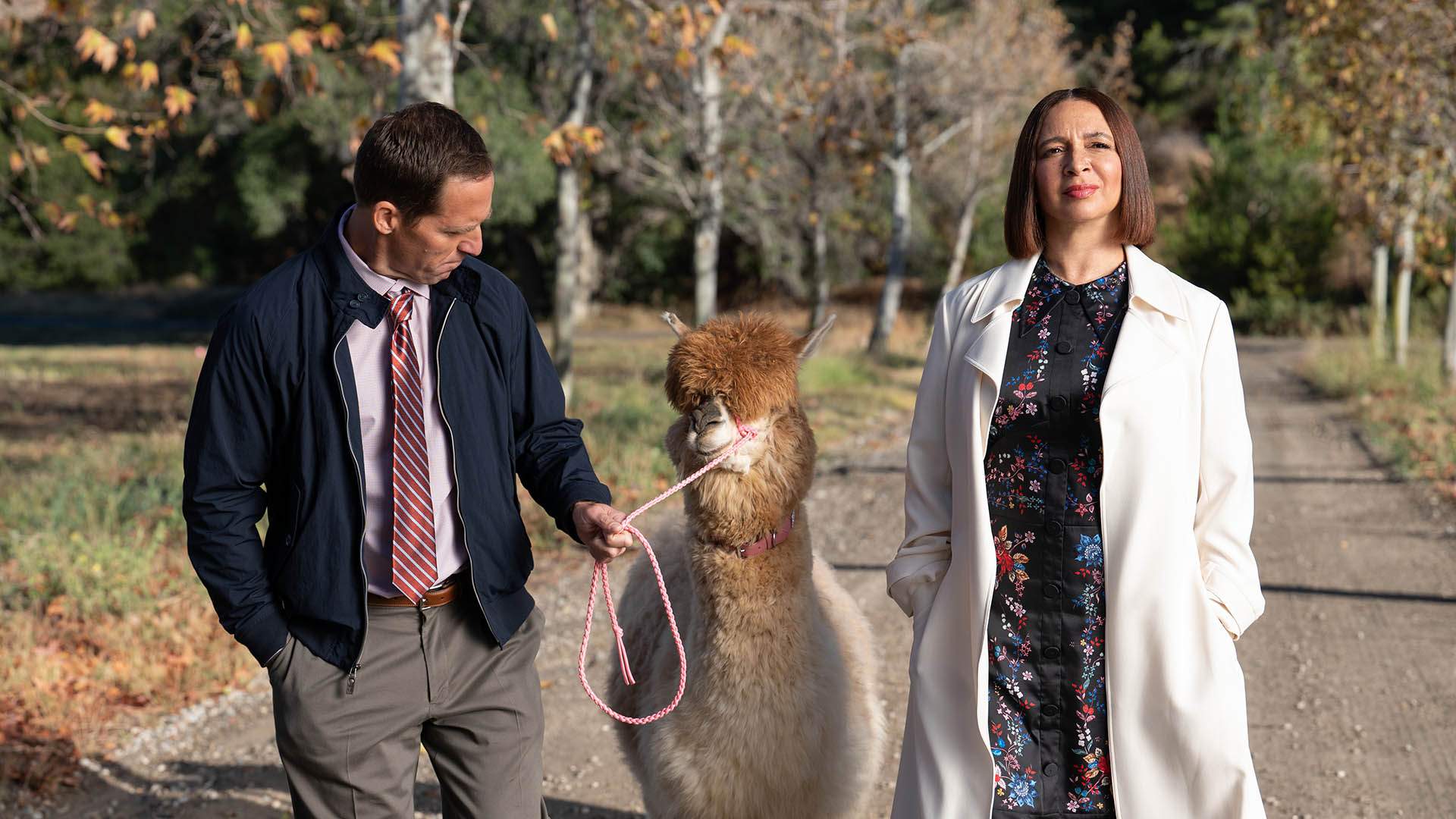 Maya Rudolph-Starring Billionaire Satire 'Loot' Is Your Next Savvy Must-See Workplace Comedy