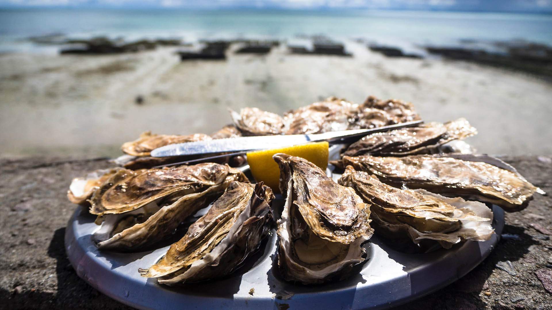 River to Bay Champagne and Oyster Tour