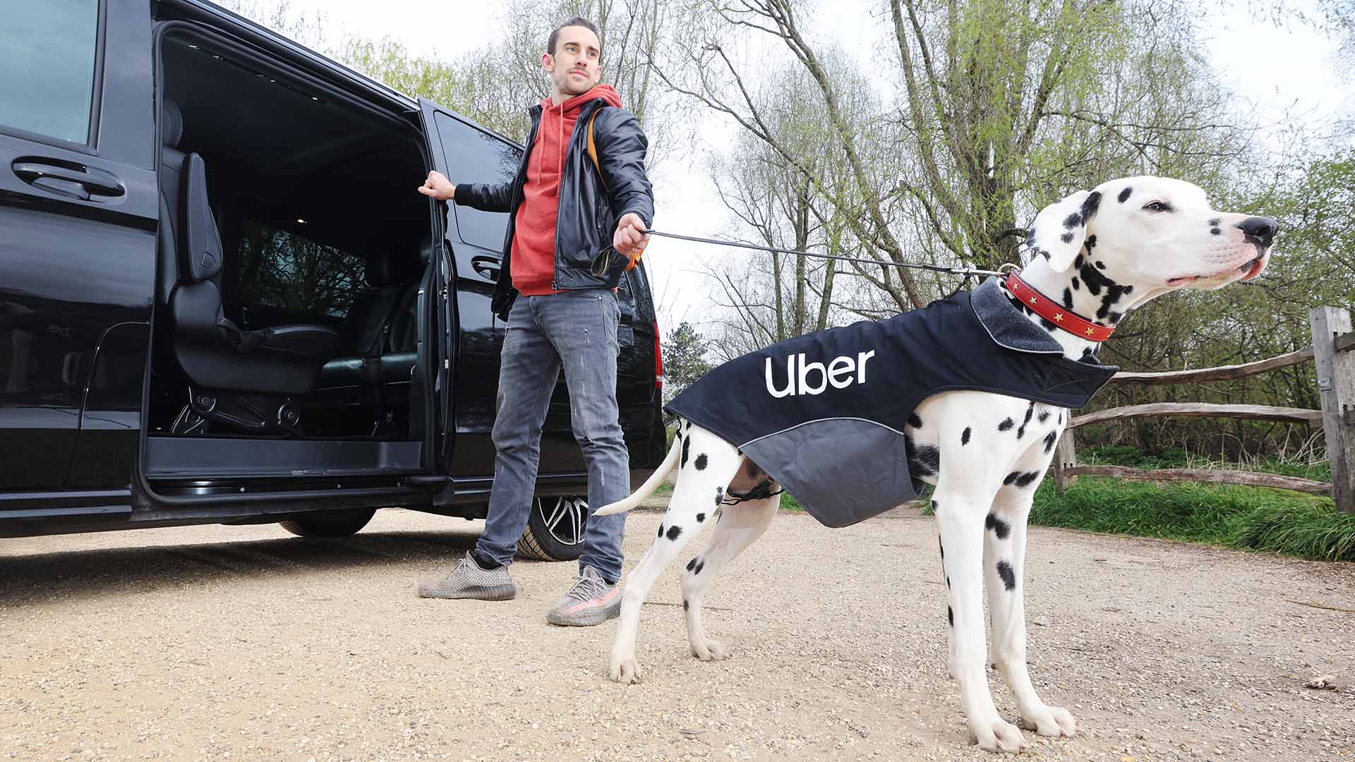 Uber Is Doing Half-Price Rides with Pets Today to Celebrate National Take Your Dog To Work Day