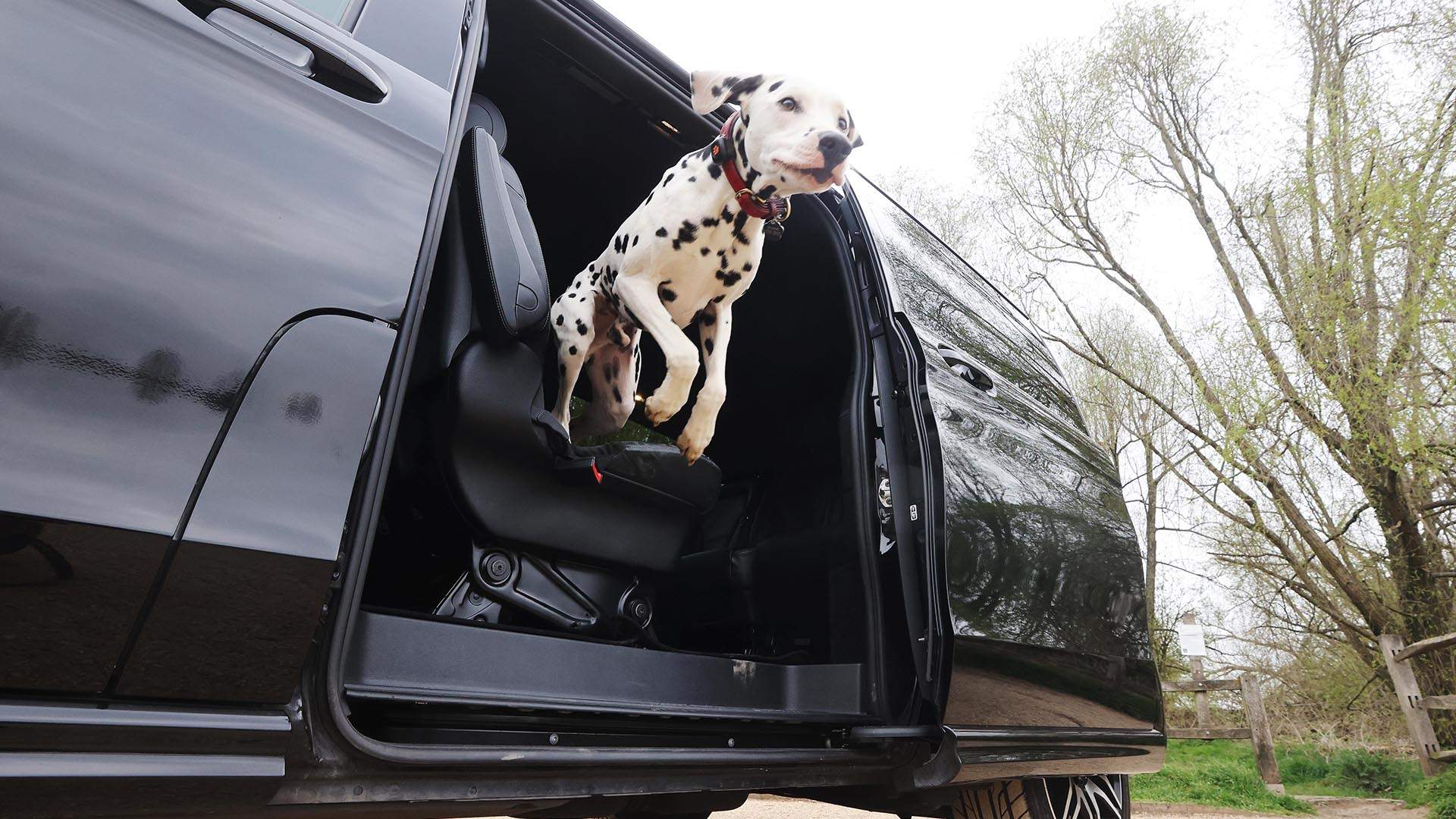 Uber Is Doing Half-Price Rides with Pets Today to Celebrate National Take Your Dog To Work Day