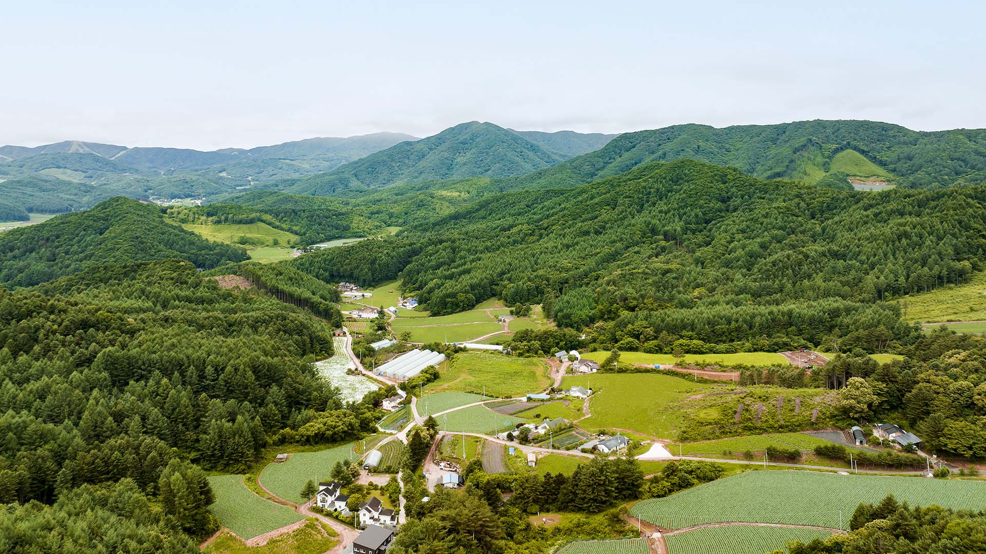 You Can Now Spend a Night at the South Korean Estate Where BTS Filmed 'In the Soop' Thanks to Airbnb