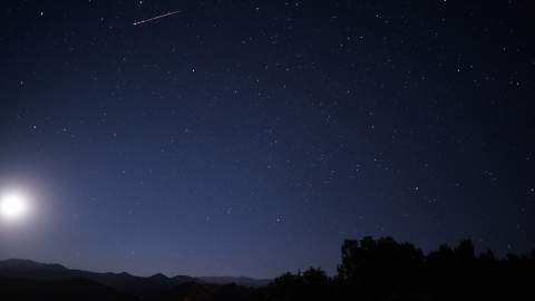 Look Up: Two Meteor Showers Are Putting on a Stellar Show in Australia's Skies This Week