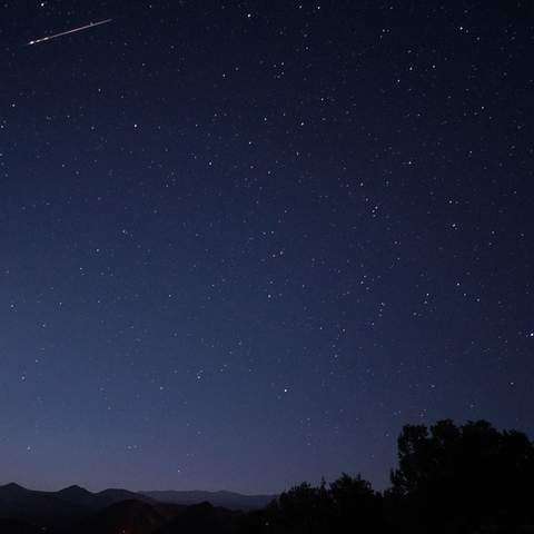 Look Up: Two Meteor Showers Are Putting on a Stellar Show in Australia's Skies This Week