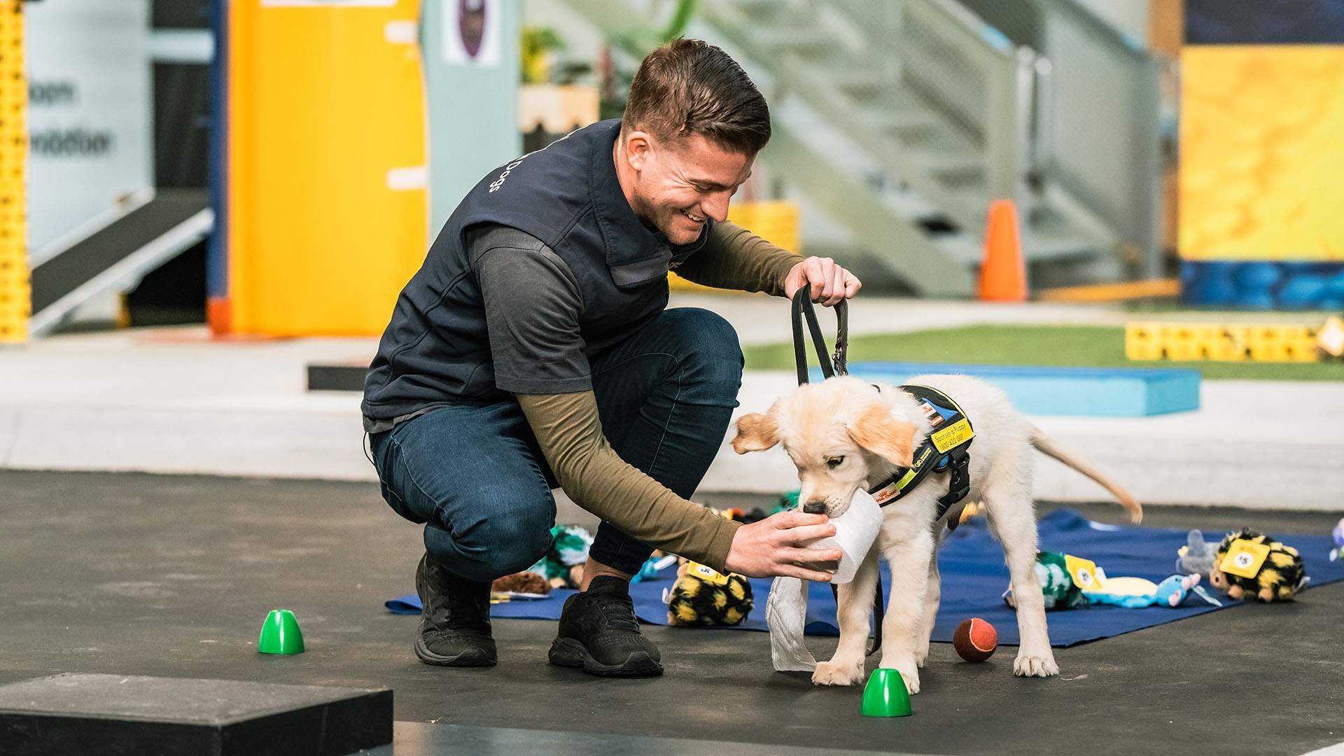 Vision Australia Is Bringing Back Its Adorable Seeing Eye Dogs Puppy Games for the Third Year