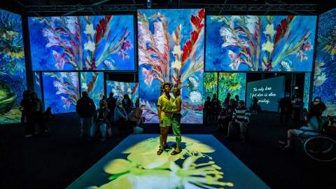 Dazzling Multi-Sensory Exhibition 'Van Gogh Alive' Is Bringing Its Stars and Sunflowers Back to Sydney