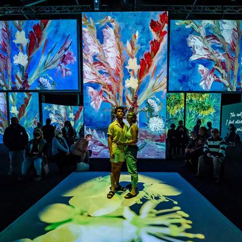 Dazzling Multi-Sensory Exhibition 'Van Gogh Alive' Is Bringing Its Stars and Sunflowers Back to Sydney