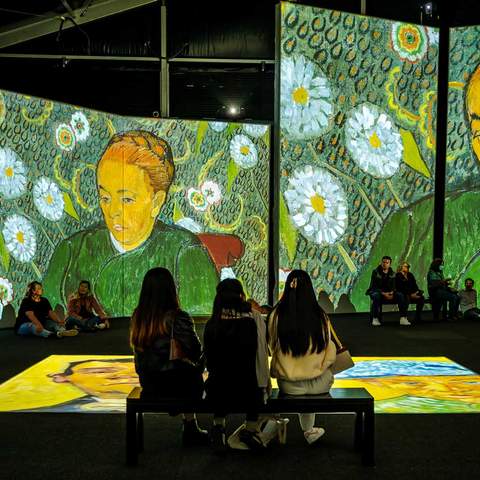 Dazzling Multi-Sensory Exhibition 'Van Gogh Alive' Is Bringing Its Stars and Sunflowers Back to Sydney