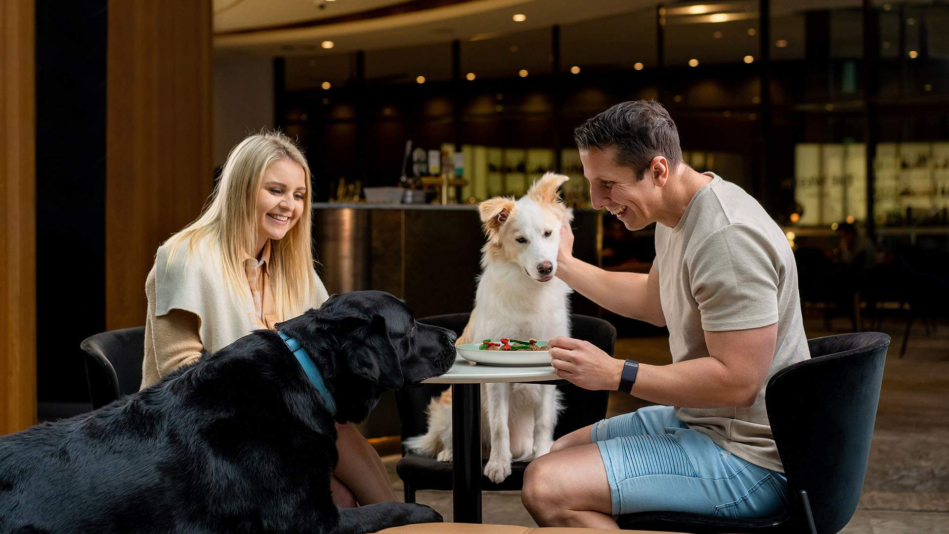 The Best Dog-Friendly Hotels, B&Bs and Self-Contained Getaways in Queensland