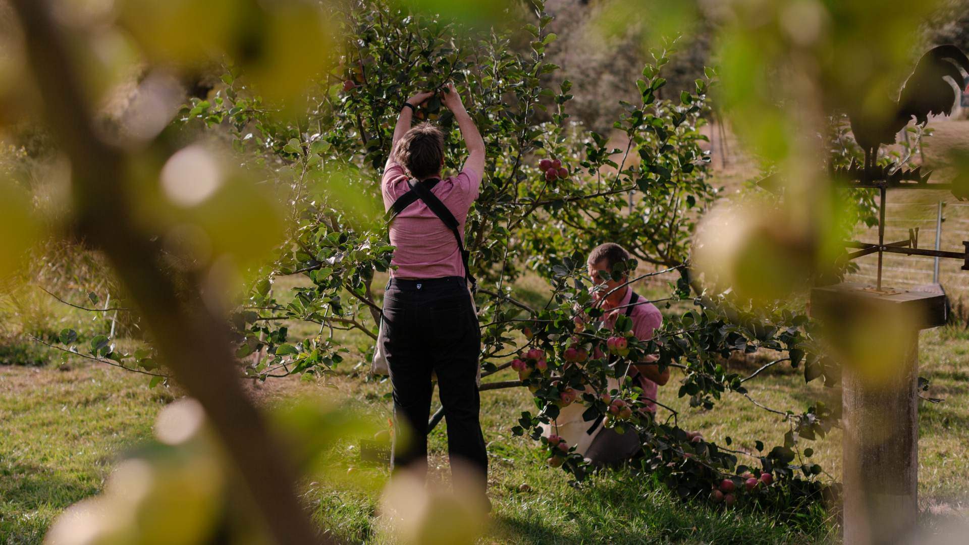 A Northern Forage Road Trip Follow a CP Writer s Tasting Tour