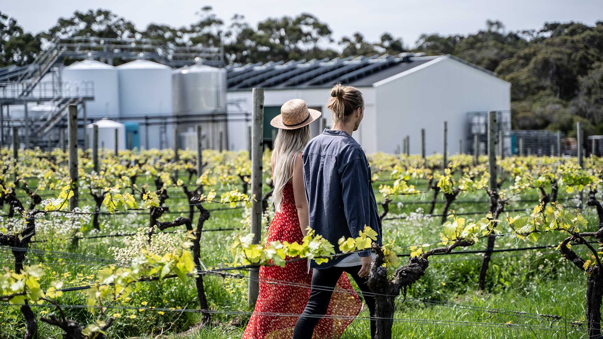 Jetstar Wants You and a Mate or Date to Head Off on Holidays — and Your Companion Can Fly for Free