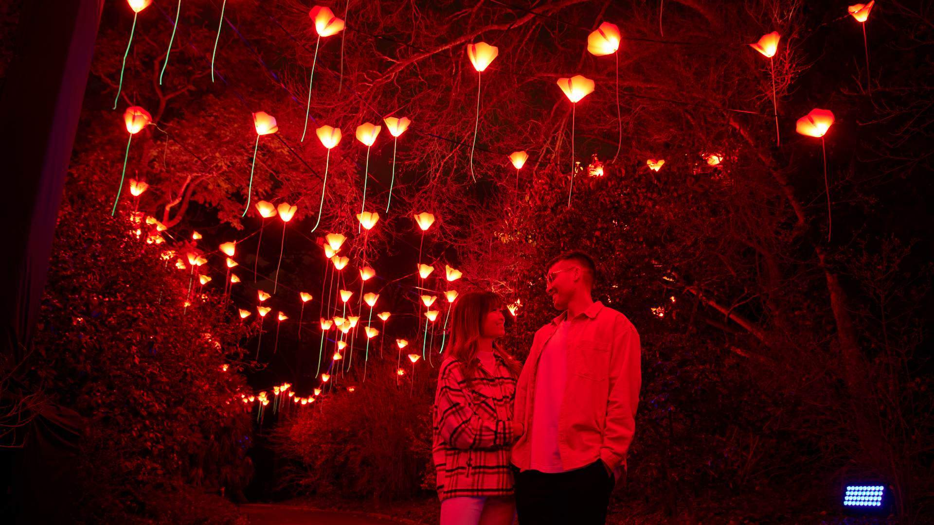 After-Dark Light Festival Lightscape Will Brighten Up the Royal Botanic Garden Sydney This Winter