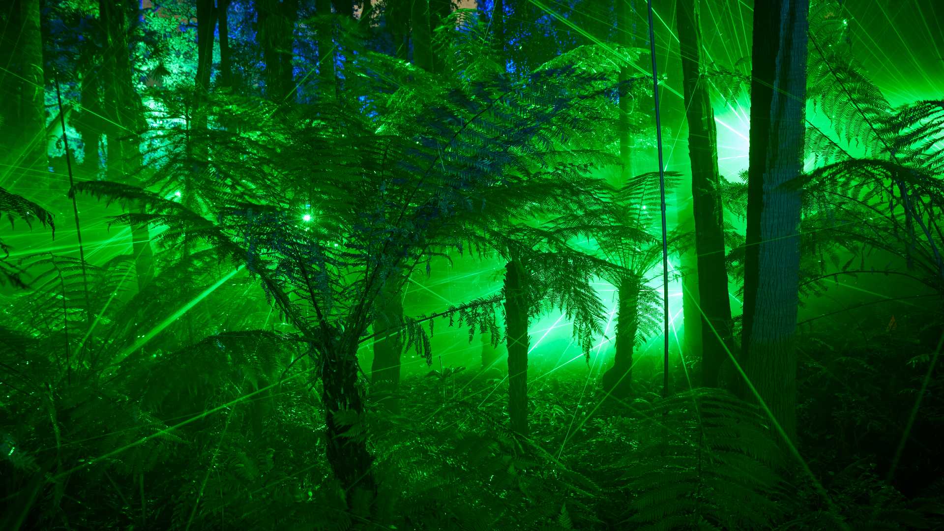 After-Dark Light Festival Lightscape Will Brighten Up the Royal Botanic Garden Sydney This Winter