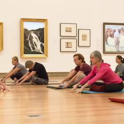Mindfulness Yoga and Mind/Body Meditation at Queensland Art Gallery
