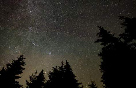 The Perseids Meteor Shower Is Brightening Up Australia's Night Skies This Month