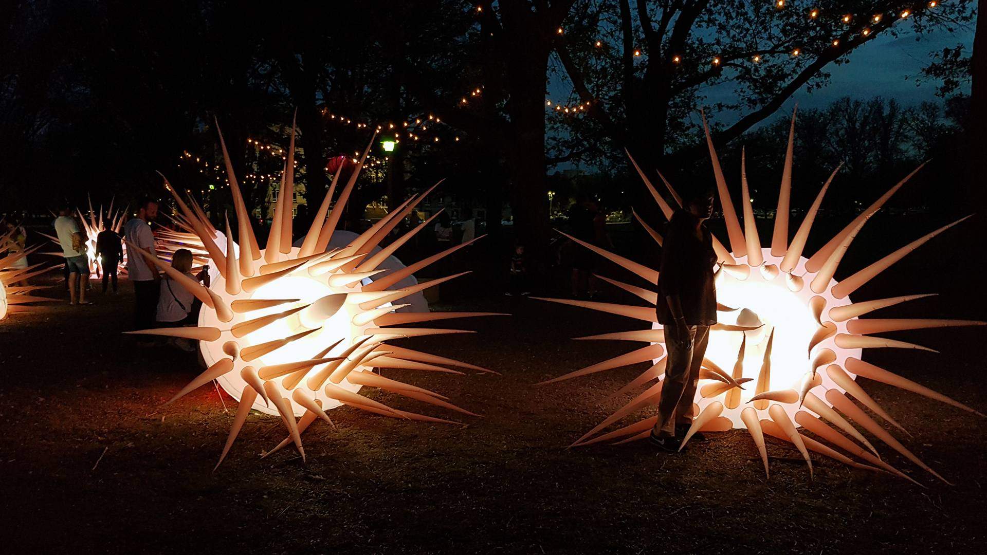 White Night Is Bringing a Dazzling After-Dark Arts Program to Bendigo and Geelong This Spring