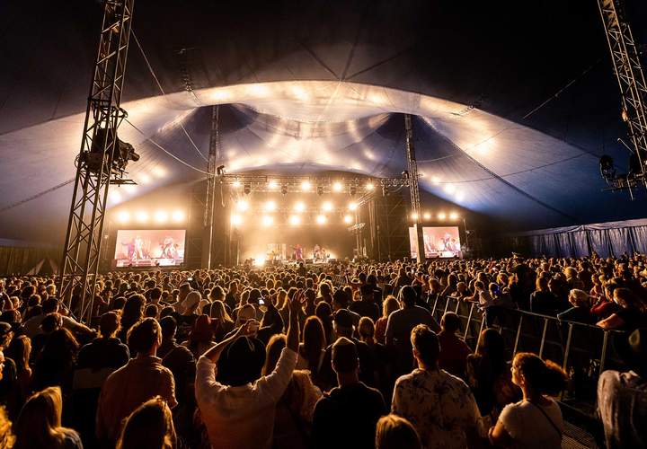 Background image for This Just In: Bluesfest Announces 2026 Cancellation, with a Liquidator Appointed to Handle All Financial Matters