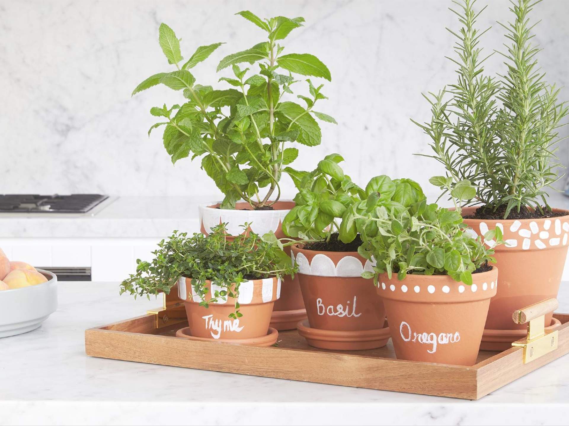 Discover 133+ potato growing bags bunnings best kidsdream.edu.vn