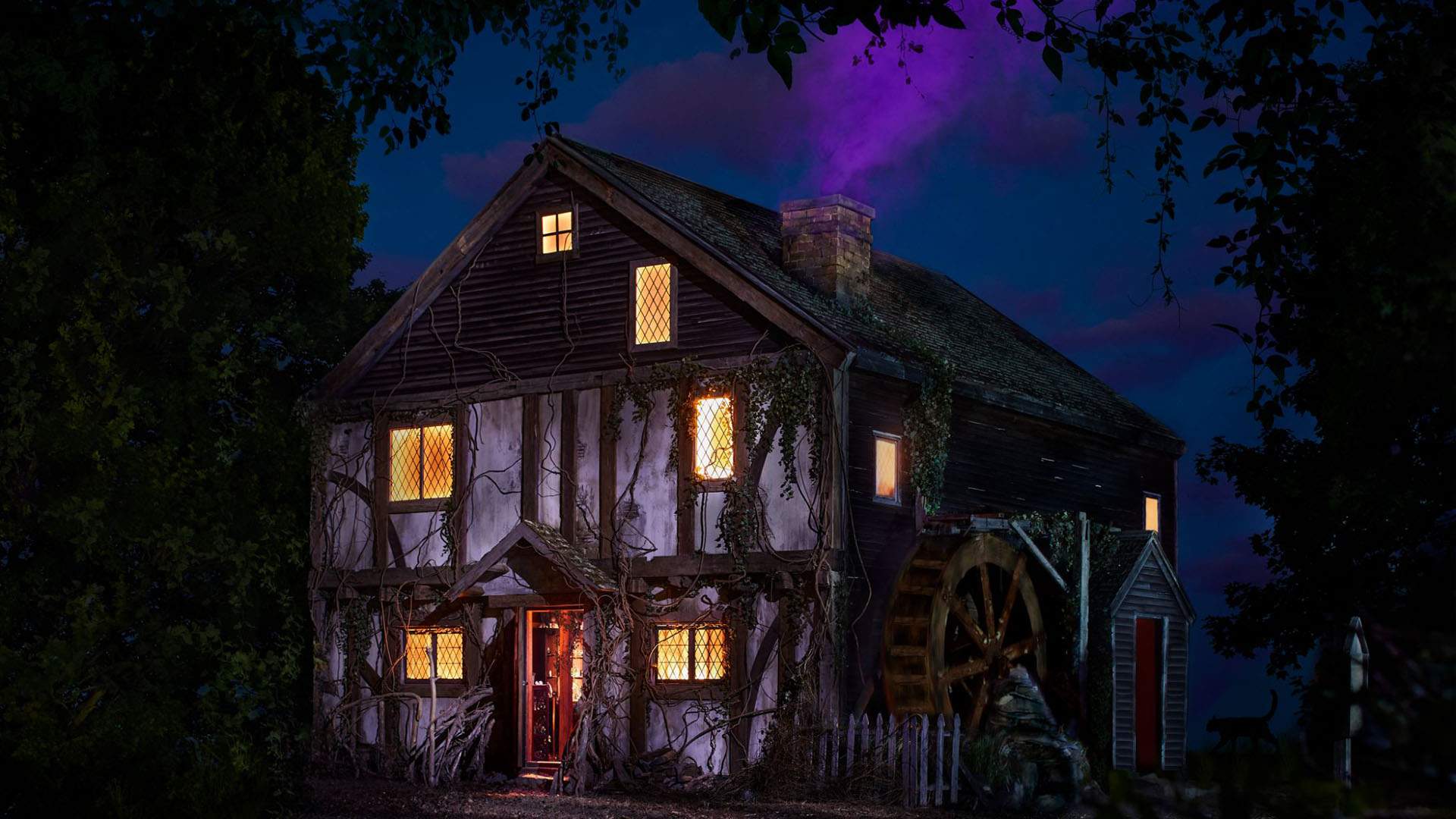 Airbnb Wants You to Run Amok, Amok, Amok Like the Sanderson Sisters in the 'Hocus Pocus' Cottage
