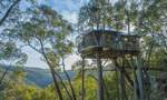 Stay of the Week: the Secret Treehouse at Wollemi Wilderness Cabins