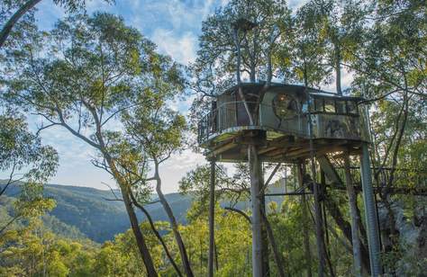 Stay of the Week: the Secret Treehouse at Wollemi Wilderness Cabins