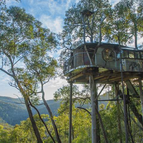 Wollemi Cabins Secret Treehouse blue mountains