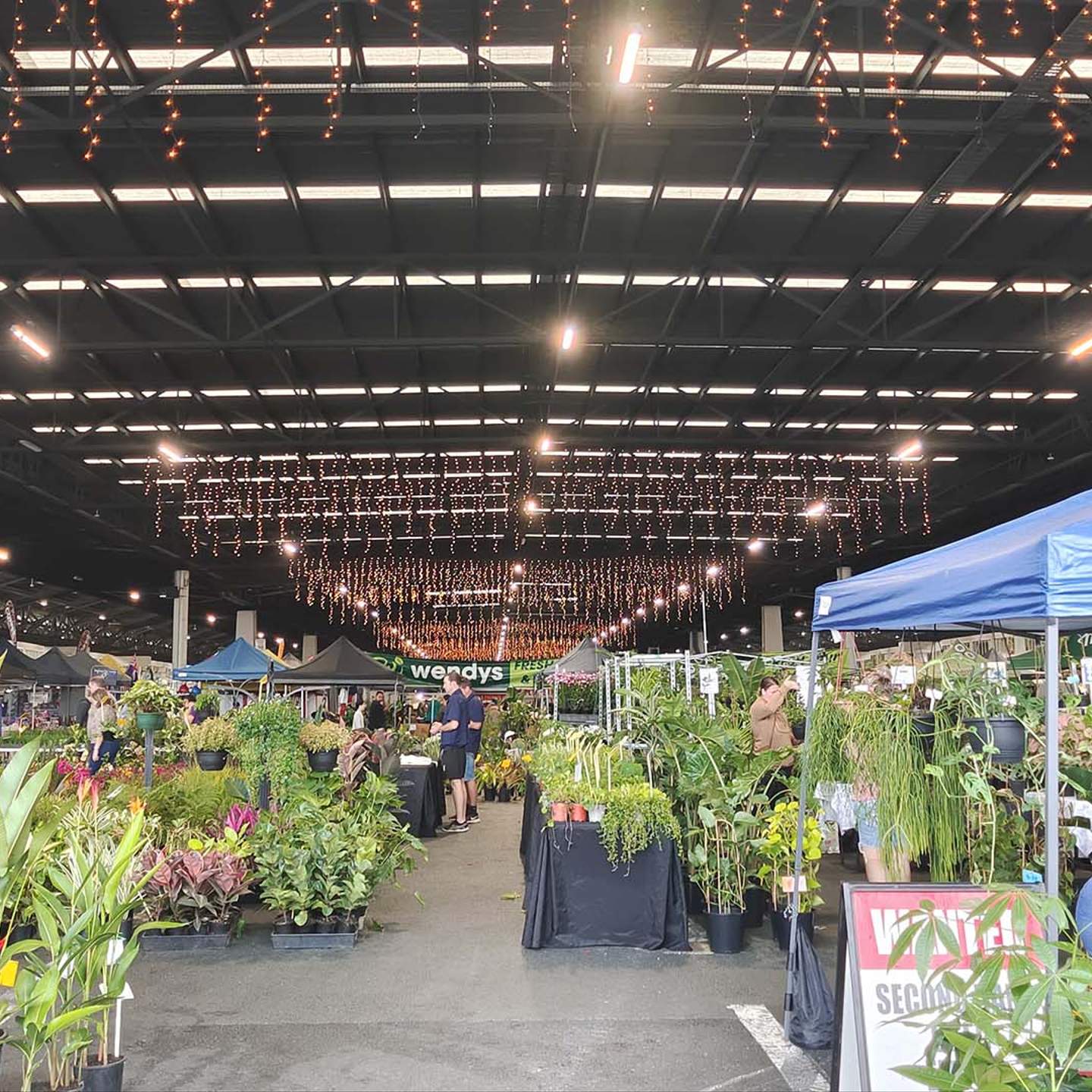 Rocklea Flower Markets Sunday Best Flower Site
