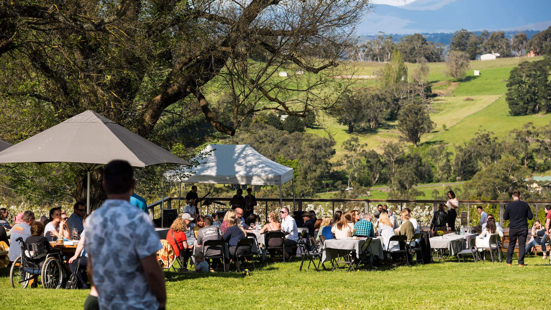 Yarra Valley Shedfest 2024