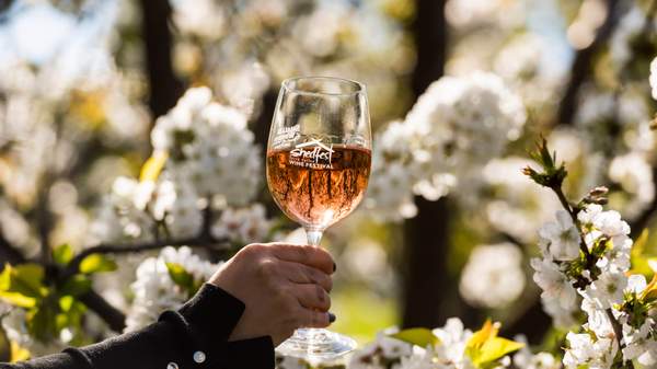 Yarra Valley Shedfest 2024