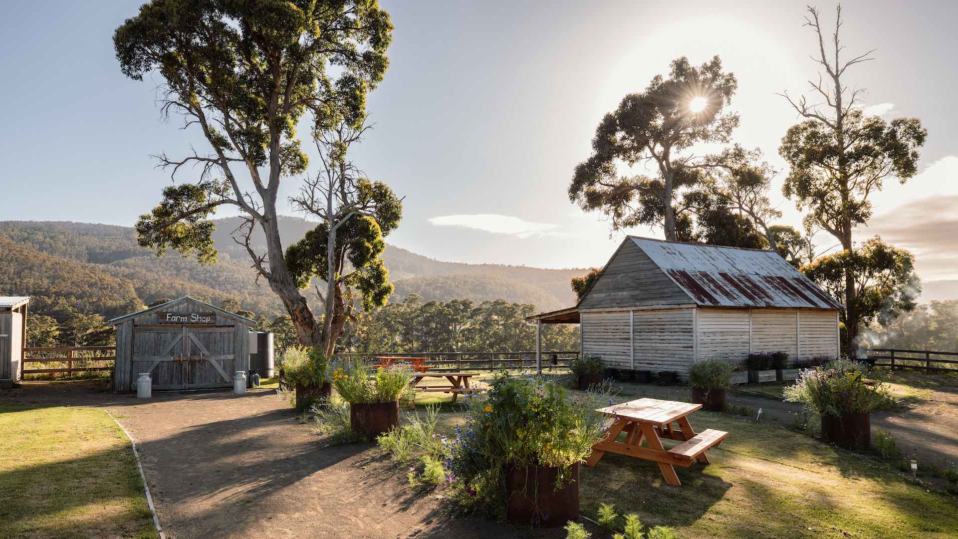 We're Giving Away the Ultimate Five-Day Foodie Holiday For Two to Tasmania
