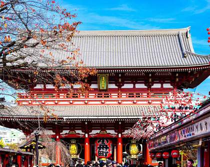The Top Local Spots to Get Your Japan Fix (If You're Not Heading Over for the Cherry Blossoms)