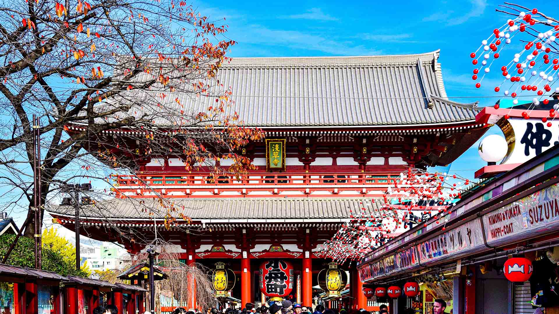 The Top Local Spots to Get Your Japan Fix (If You're Not Heading Over for the Cherry Blossoms)