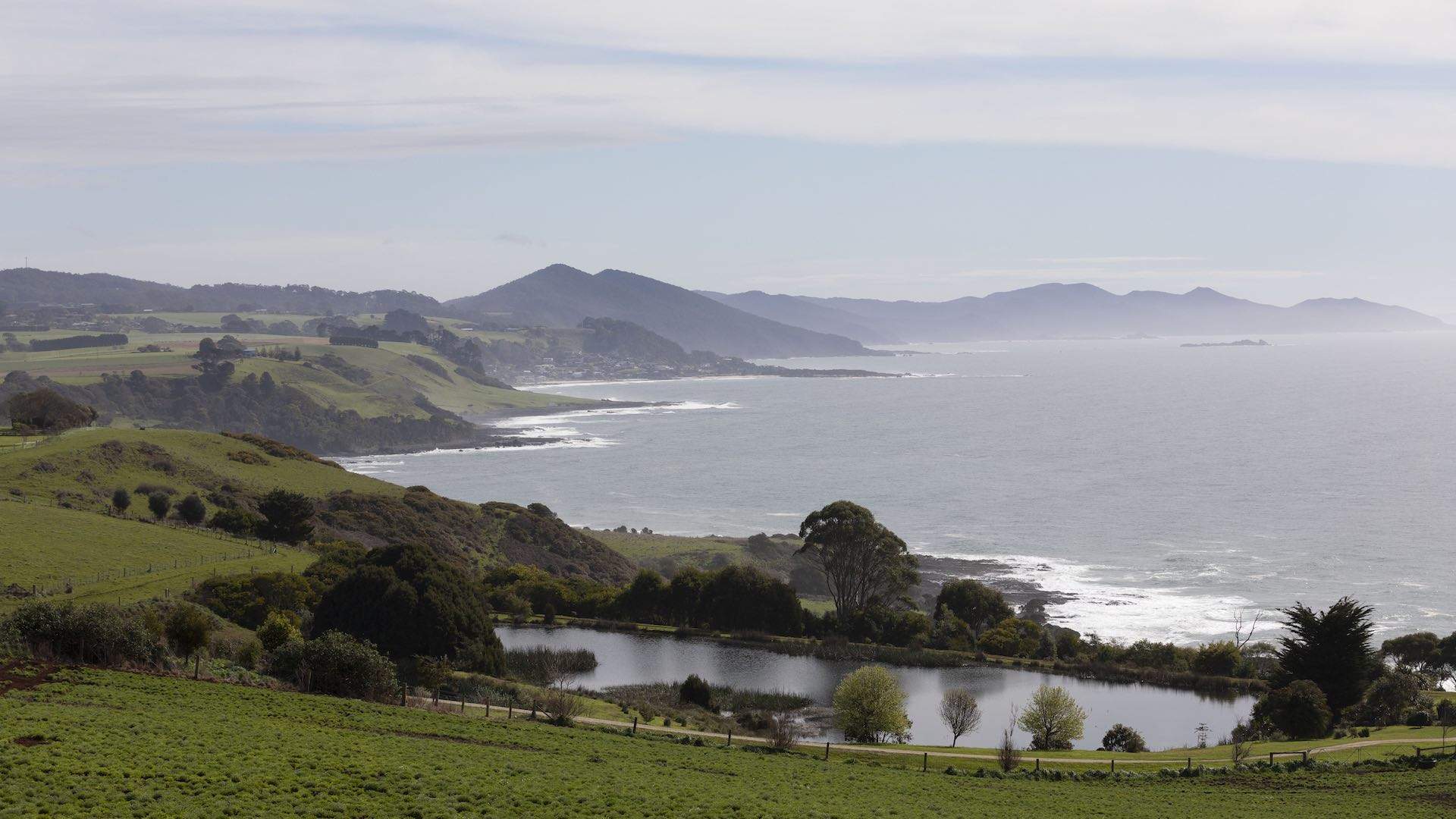 A Northern Forage Road Trip: Follow a CP Writer's Tasting Tour Across Tasmania's North