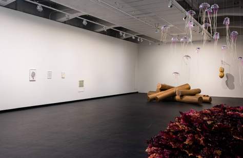 'At Thresholds' at the City Gallery