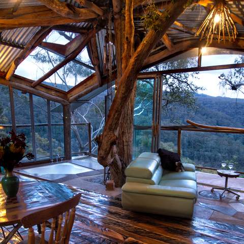 Wollemi Cabins Secret Treehouse blue mountains