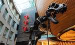 Auckland Museum's 67-Million-Year-Old T-Rex Skeleton 'Peter' Is Now Staying Until the End of 2023