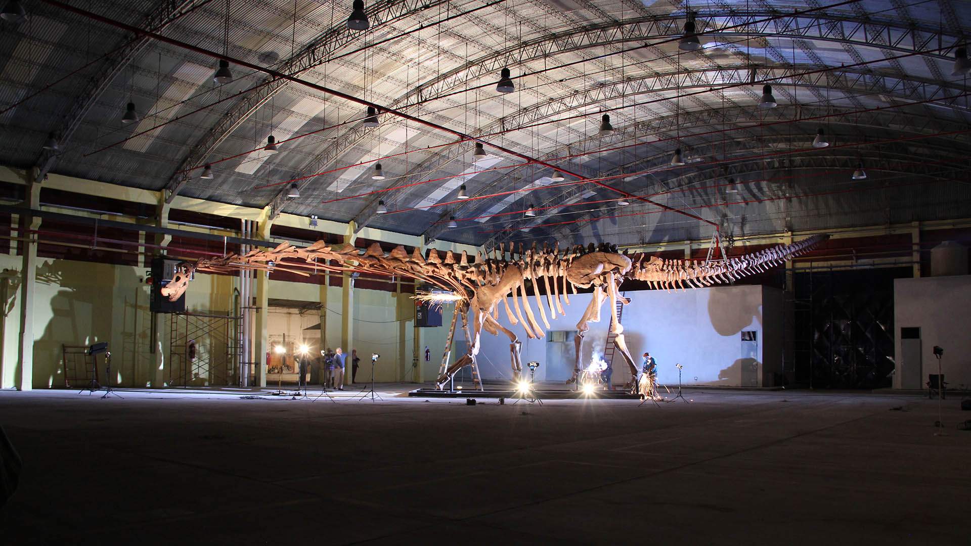 Exposición masiva de dinosaurios con los animales terrestres más grandes en el Museo de Queensland