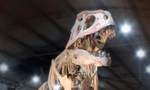 Dinosaurs of Patagonia After Dark