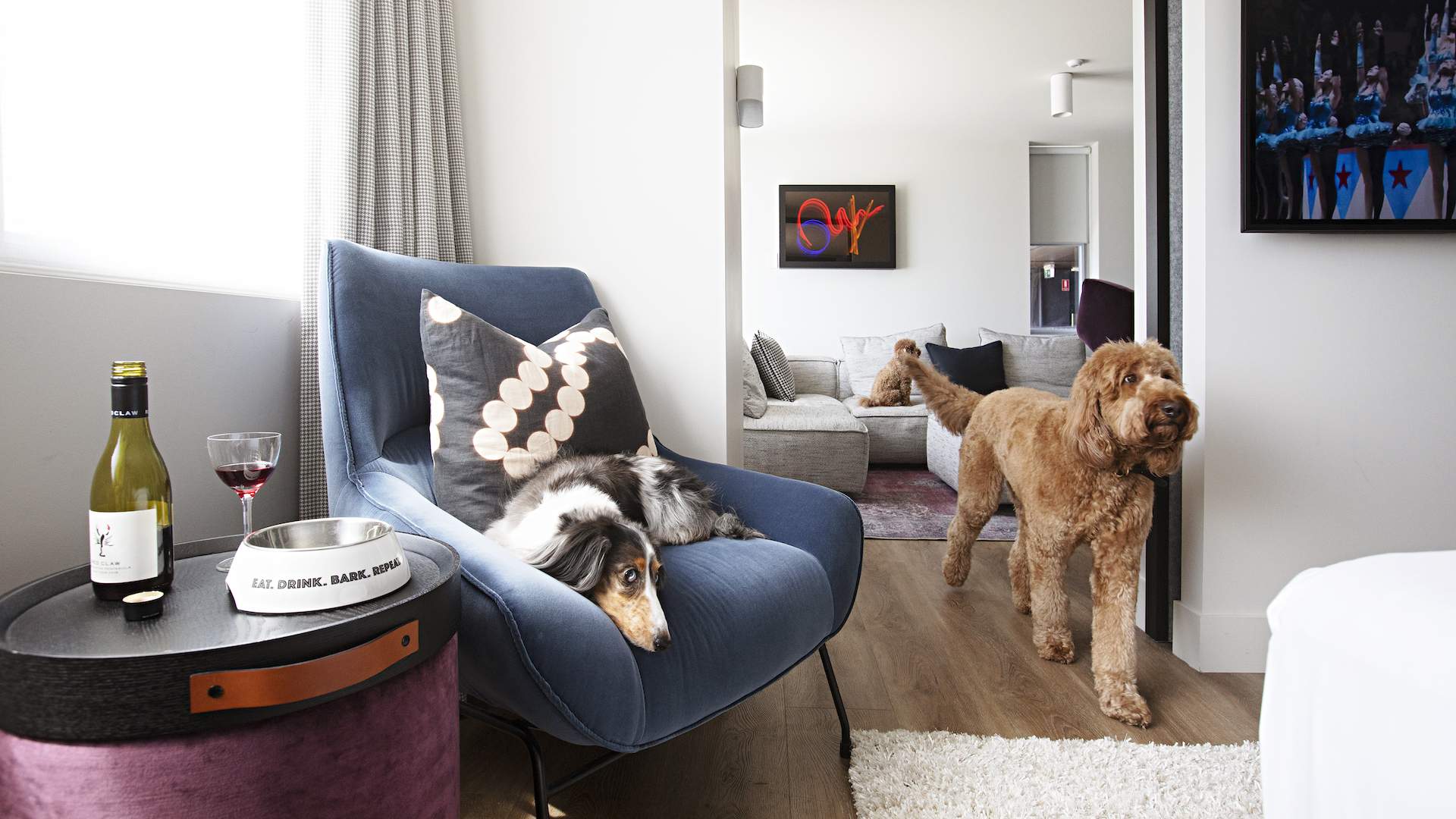 Best dog-friendly hotels Victoria, Melbourne - accommodations - Zagame's House