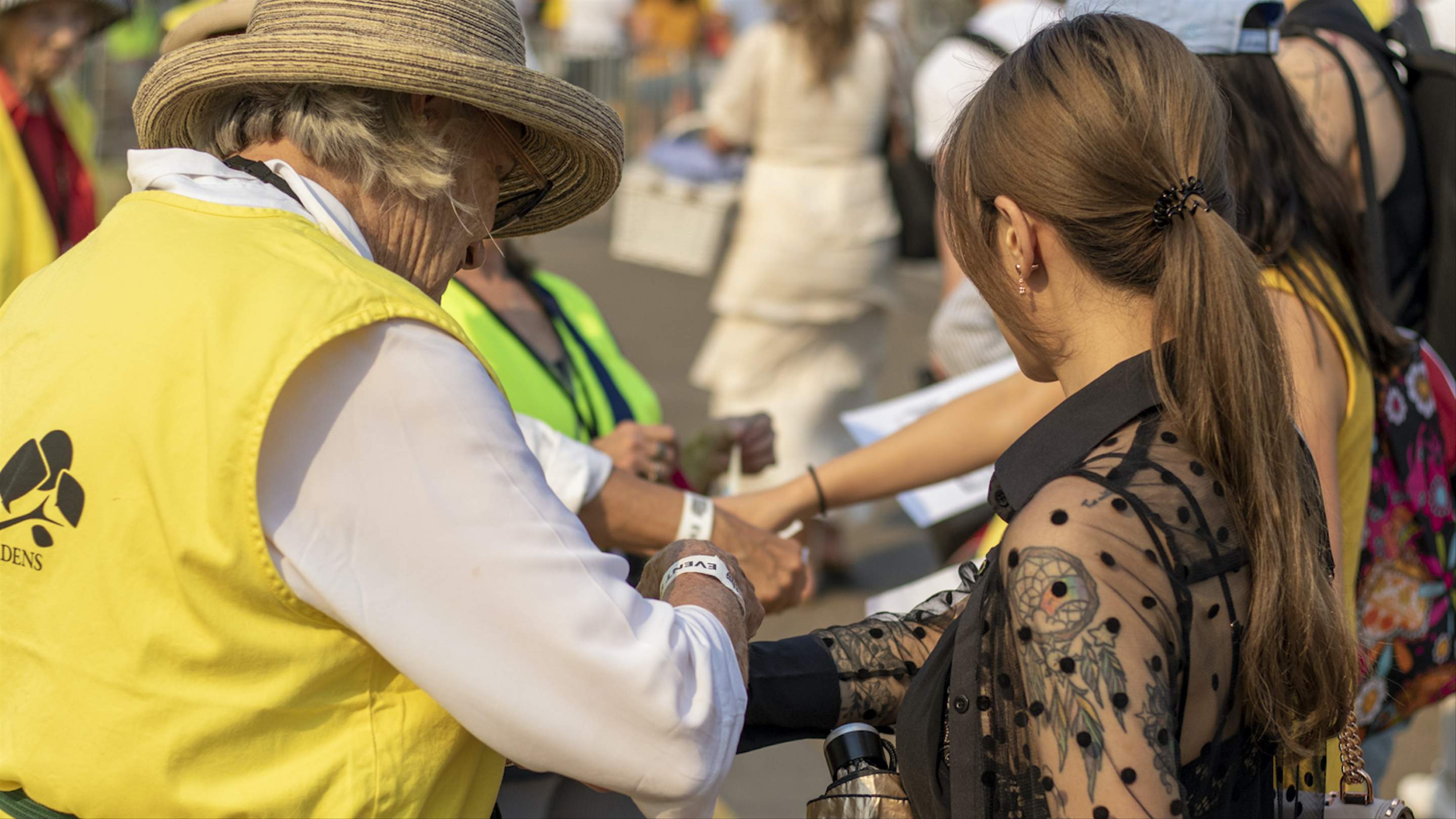 NYE Picnic at the Royal Botanic Gardens Concrete Playground