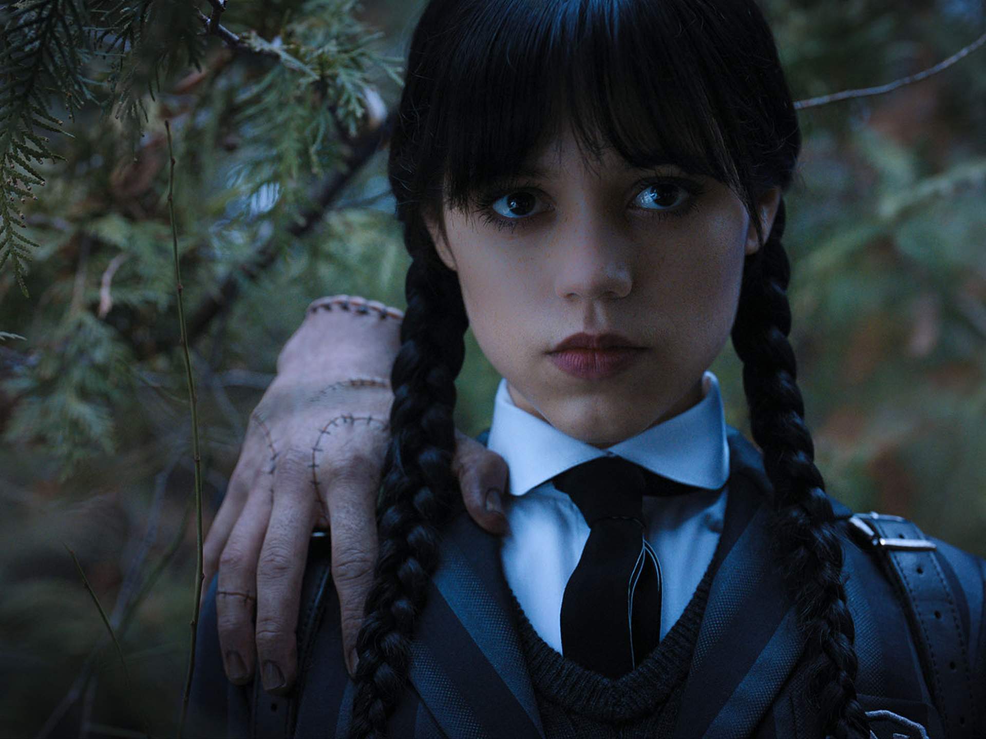 Wednesday Addams from the series Wednesday - Playground
