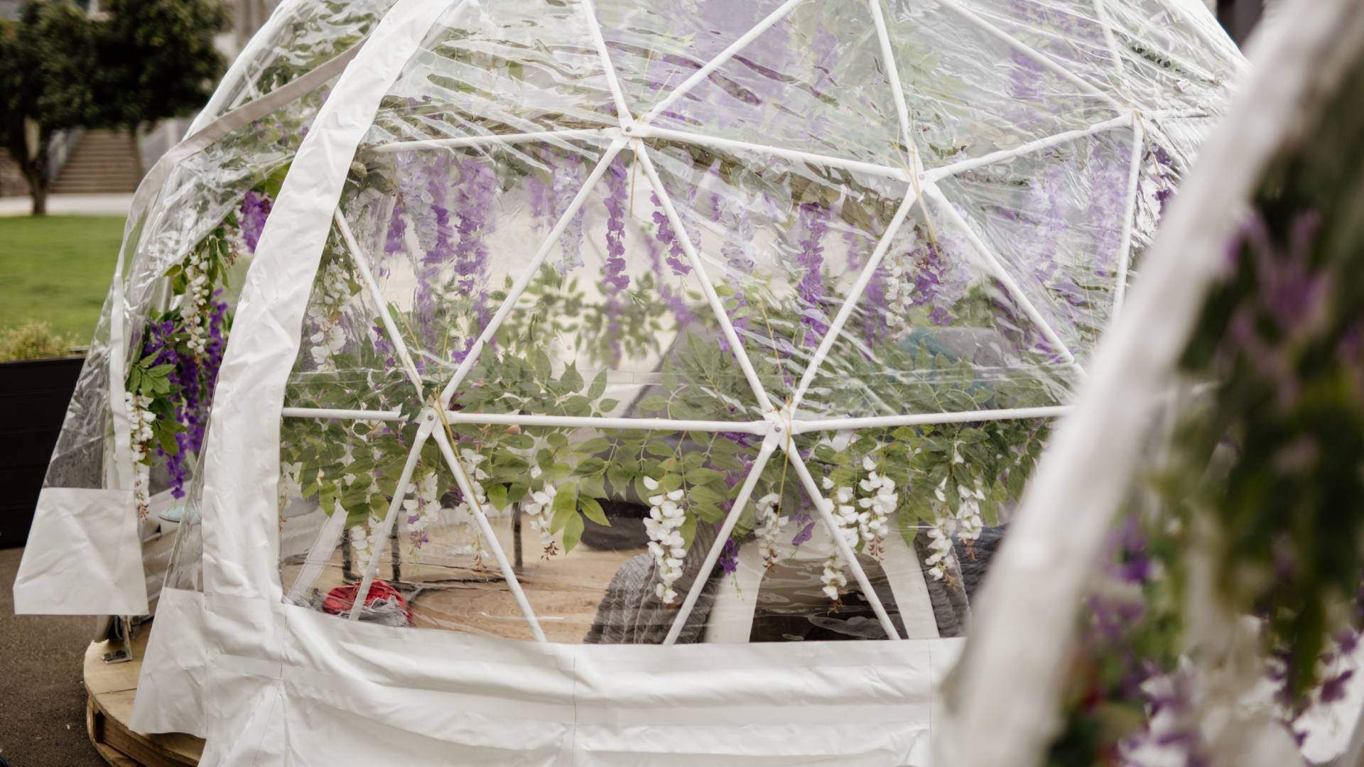 Spring Igloos at St John's Bar and Eatery