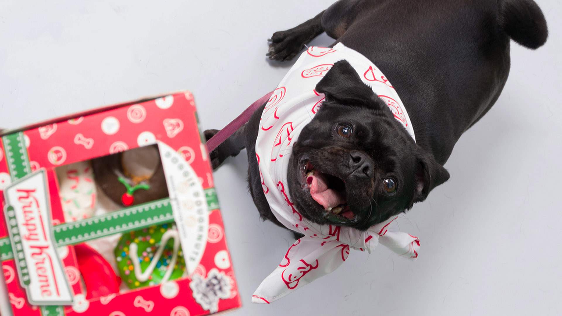 Krispy Kreme Has Dropped a New Range of Doughnut-Inspired Christmas Biscuits for Dogs