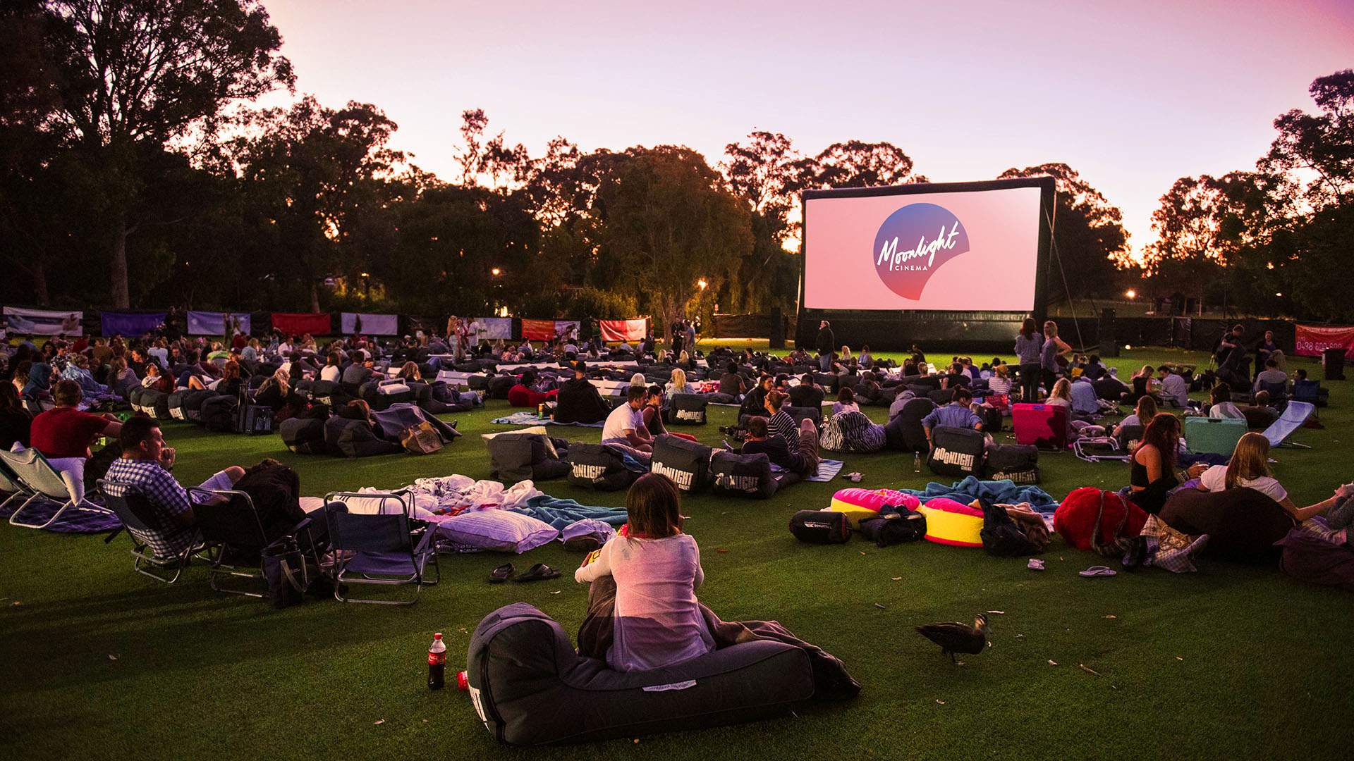Moonlight Cinema Has Released Its January Lineup So You Can Start 2023 with Movies Under the Stars